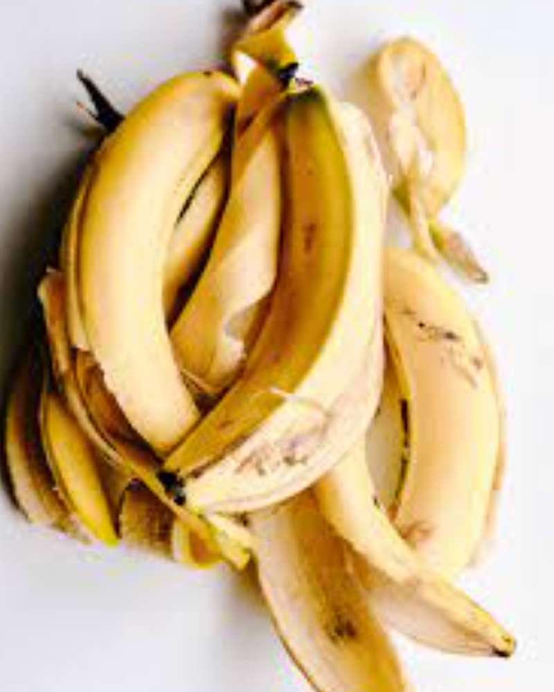 banana_image_012